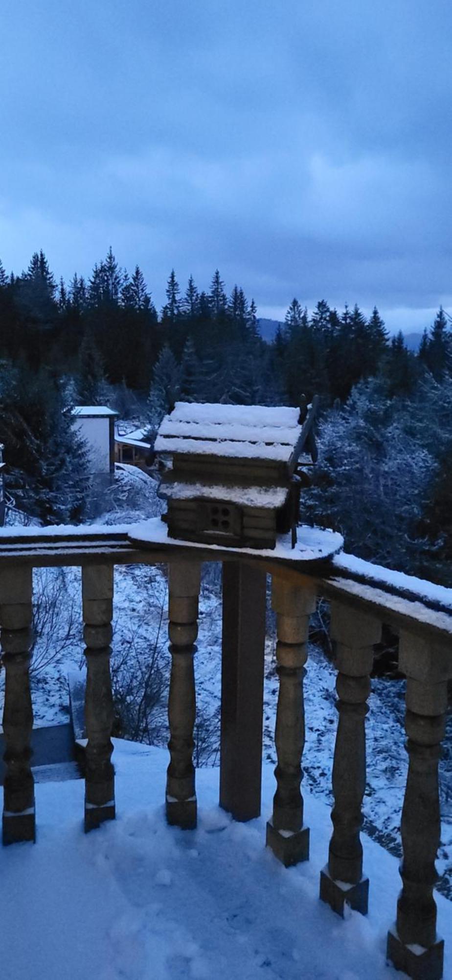 Golden Nest Lägenhet Jablunytsja Exteriör bild