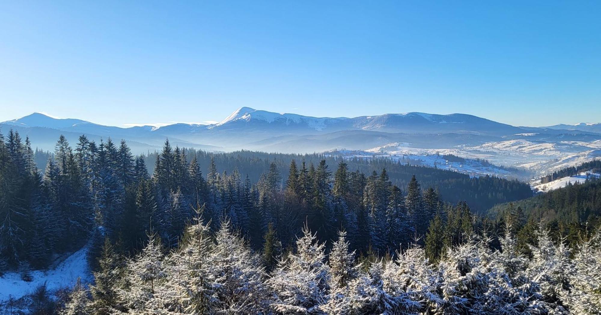 Golden Nest Lägenhet Jablunytsja Exteriör bild